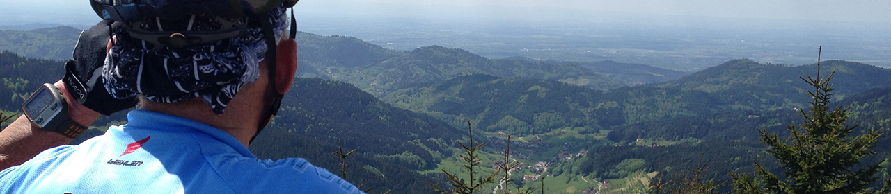 Image Alt Text