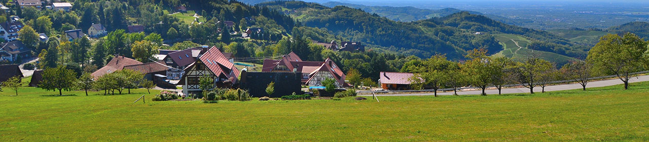 Image Alt Text