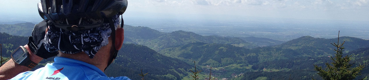 Image Alt Text